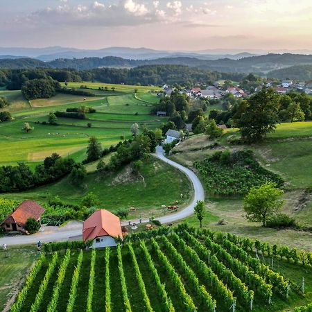 Vineyard Cottage Krivic 特贝尔诺 外观 照片
