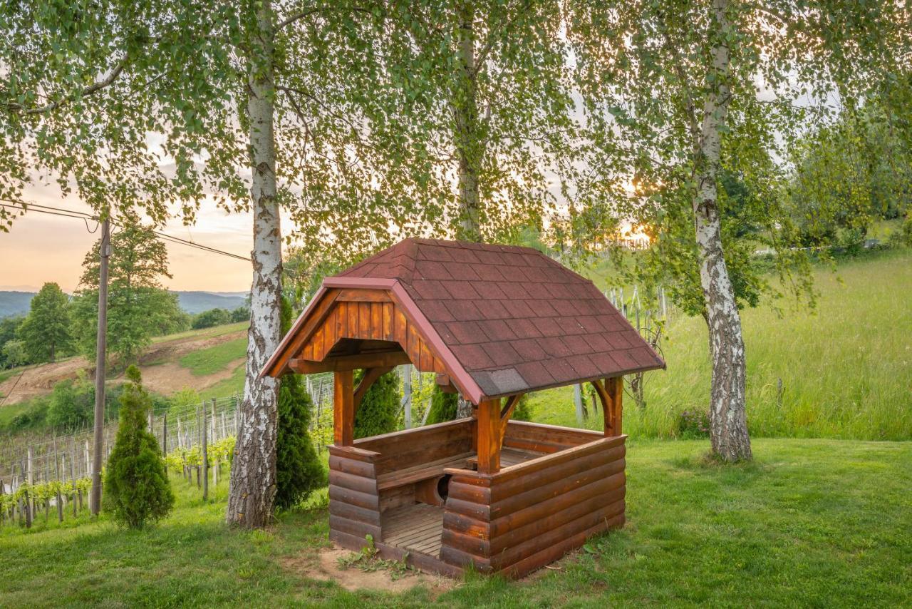 Vineyard Cottage Krivic 特贝尔诺 外观 照片