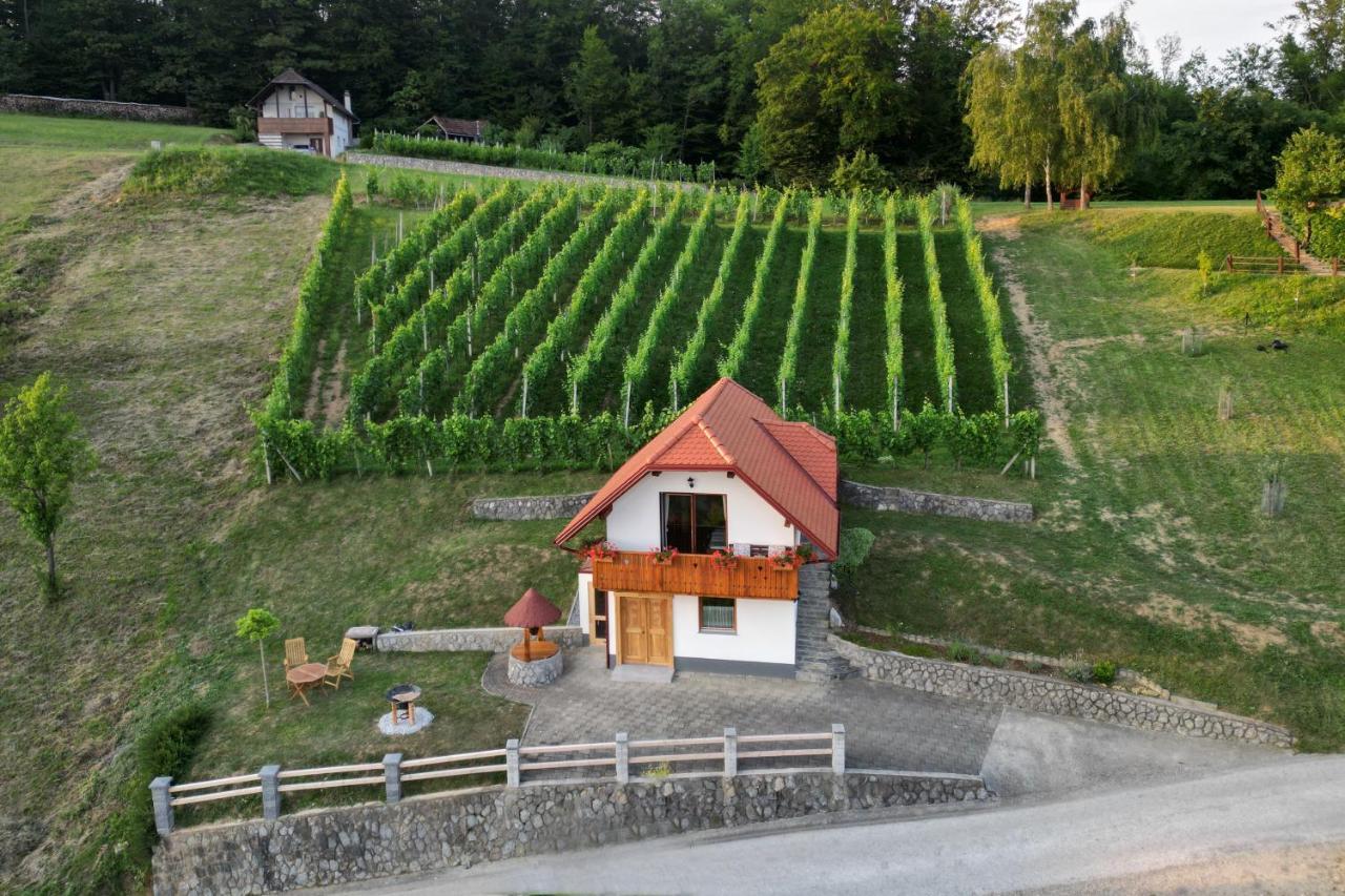 Vineyard Cottage Krivic 特贝尔诺 外观 照片