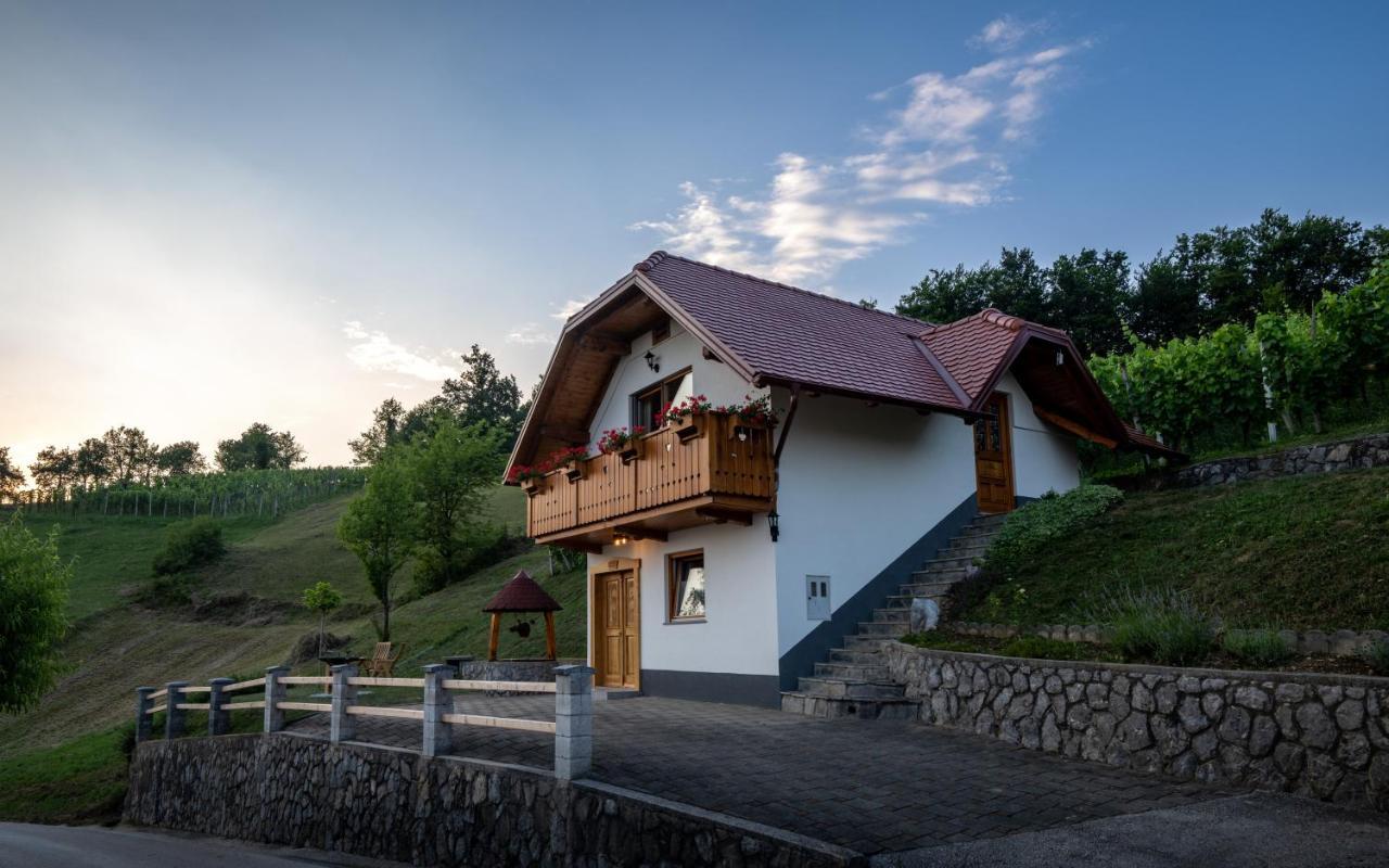 Vineyard Cottage Krivic 特贝尔诺 外观 照片