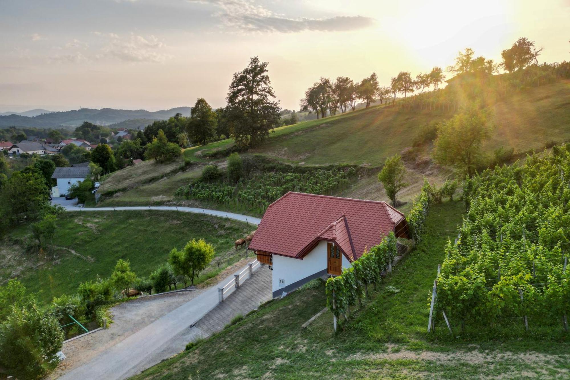 Vineyard Cottage Krivic 特贝尔诺 外观 照片