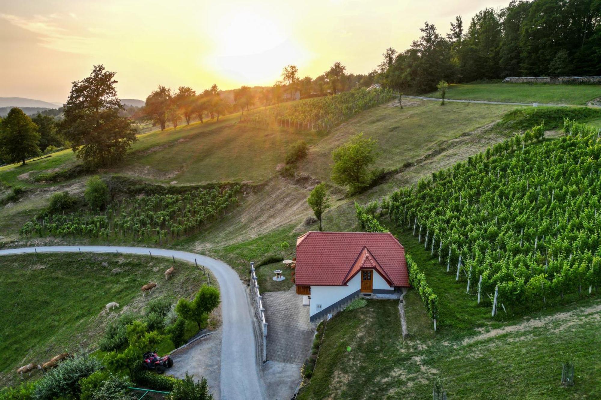 Vineyard Cottage Krivic 特贝尔诺 外观 照片
