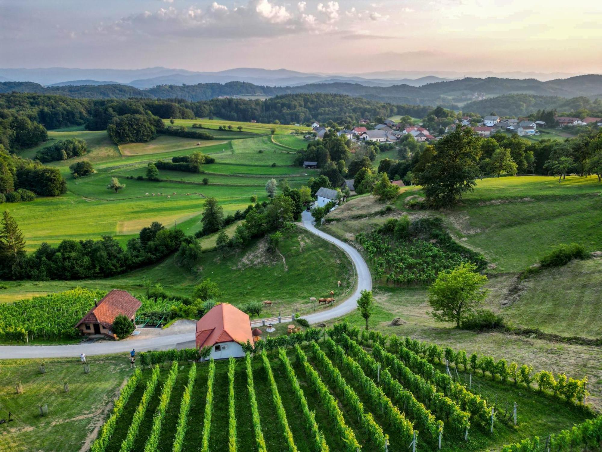 Vineyard Cottage Krivic 特贝尔诺 外观 照片