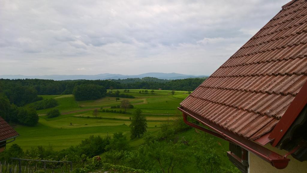 Vineyard Cottage Krivic 特贝尔诺 外观 照片
